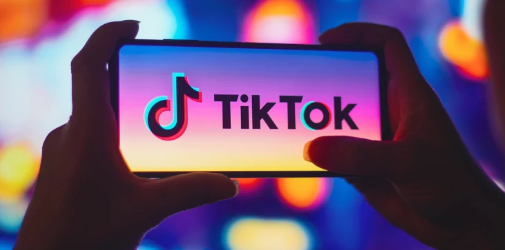TikTok հեռախոսի պատկերանշան